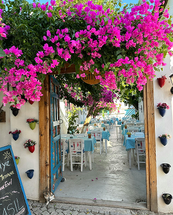 Brunchs et tavernes grecques